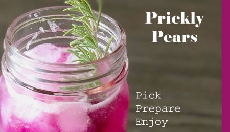 video about making prickly pear syrup