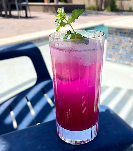 Prickly Pear Cocktail 