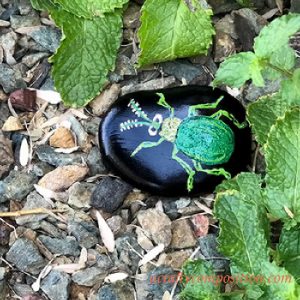 Acraftycomposition Green Glitter Bug Rock