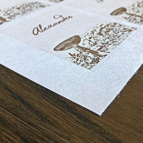 Name Cards printed on Rice Paper