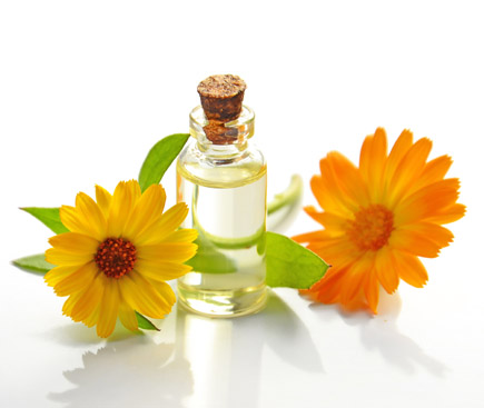 crush your creative rut with smell. Image of two daisies and a bottle of perfume